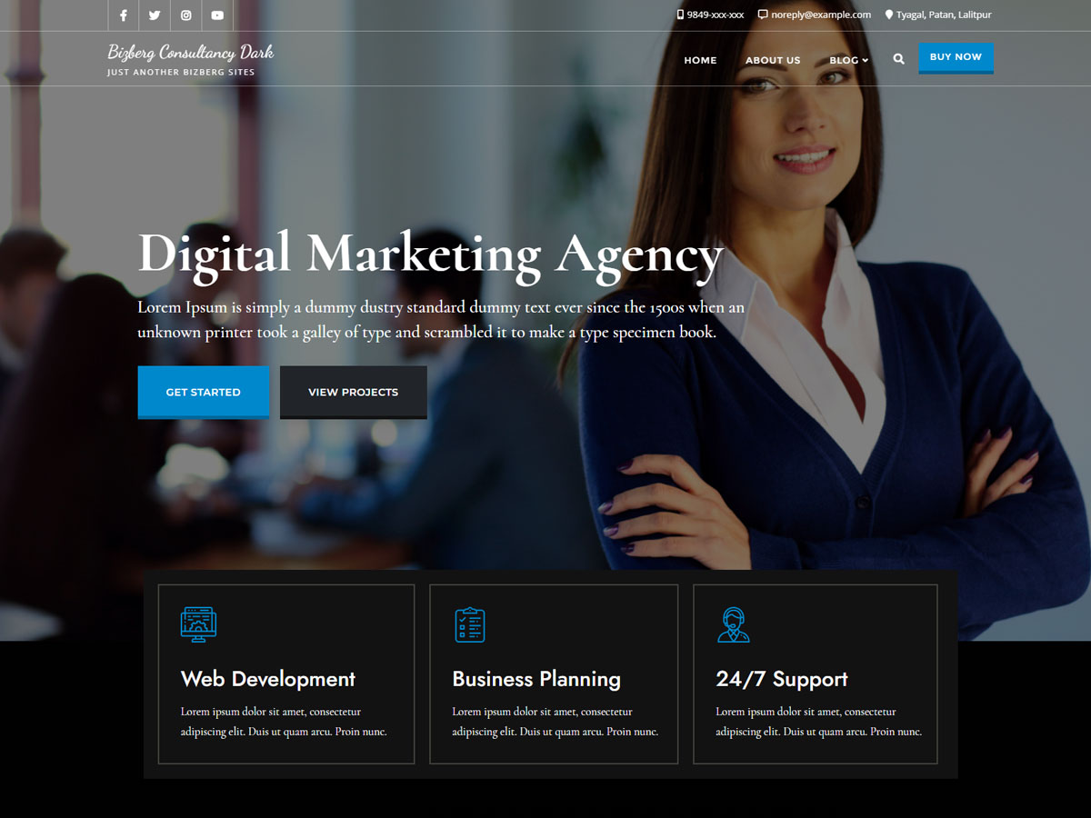 Bizberg Consulting Dark theme screenshot