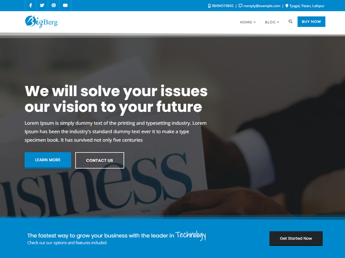 Bizberg theme screenshot
