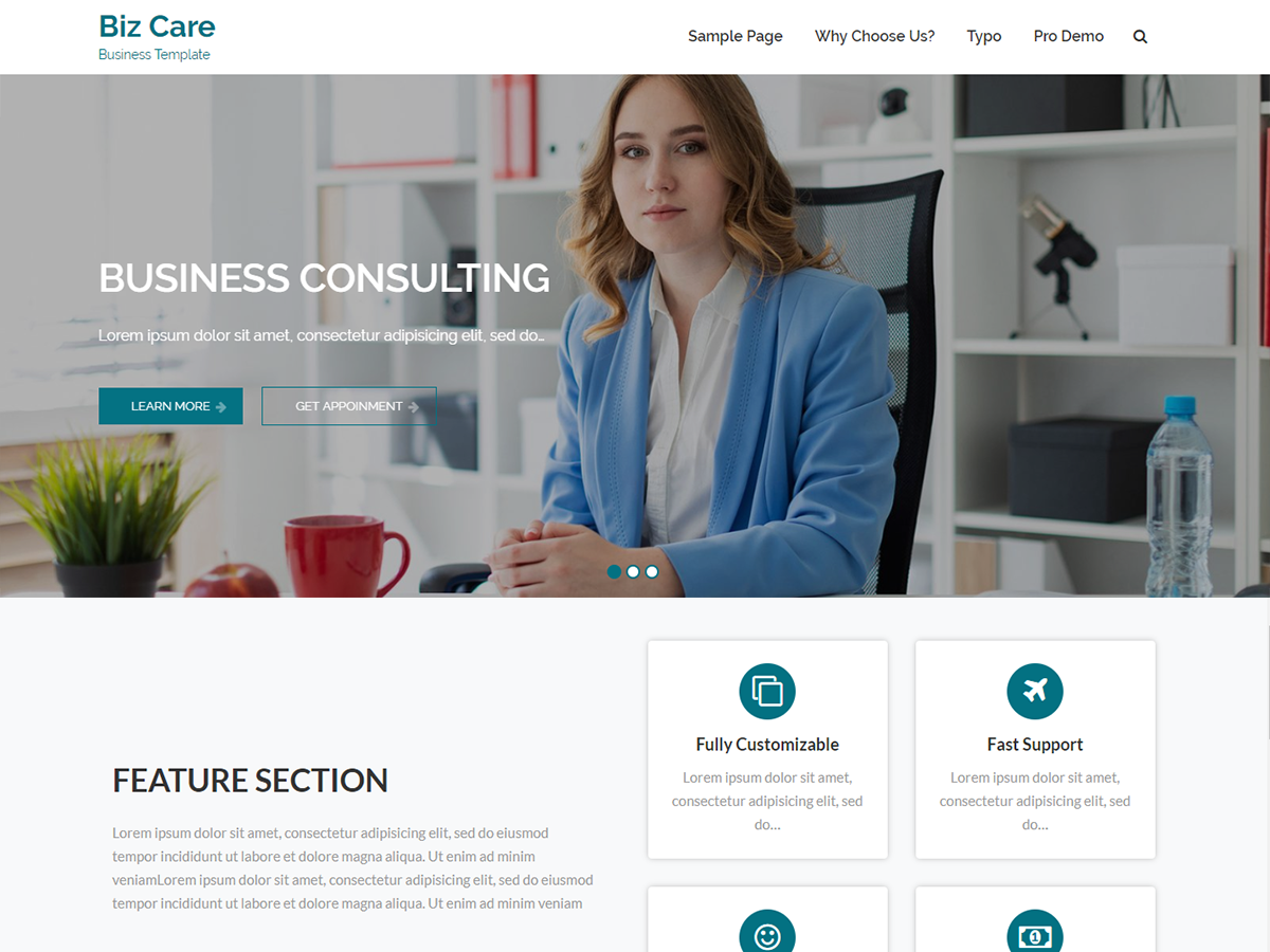 BizCare theme screenshot