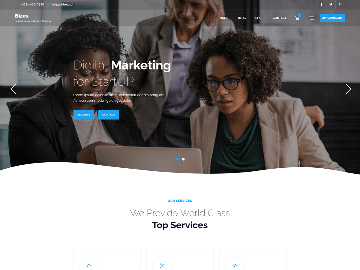 Bizes theme screenshot