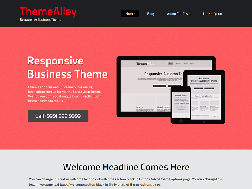 BizFlare theme screenshot