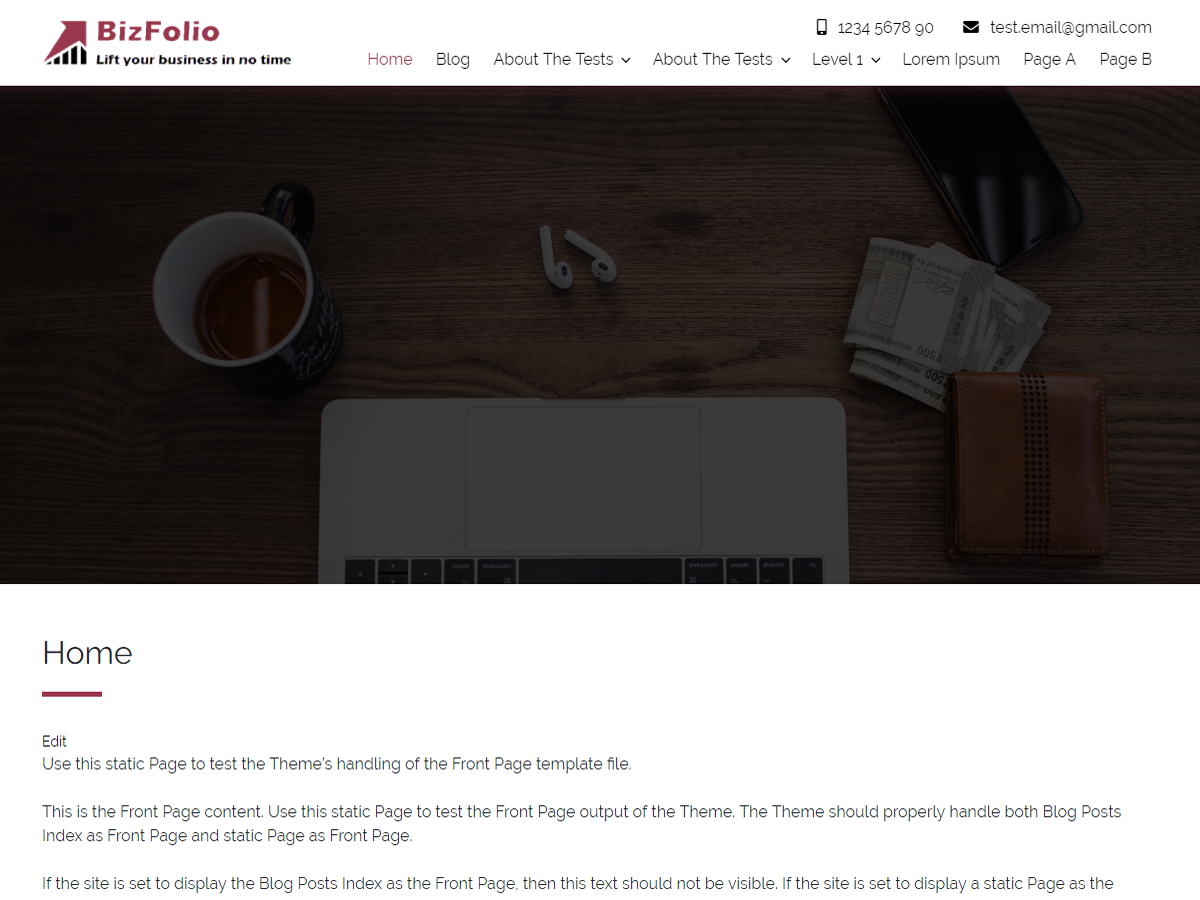 BizFolio theme screenshot