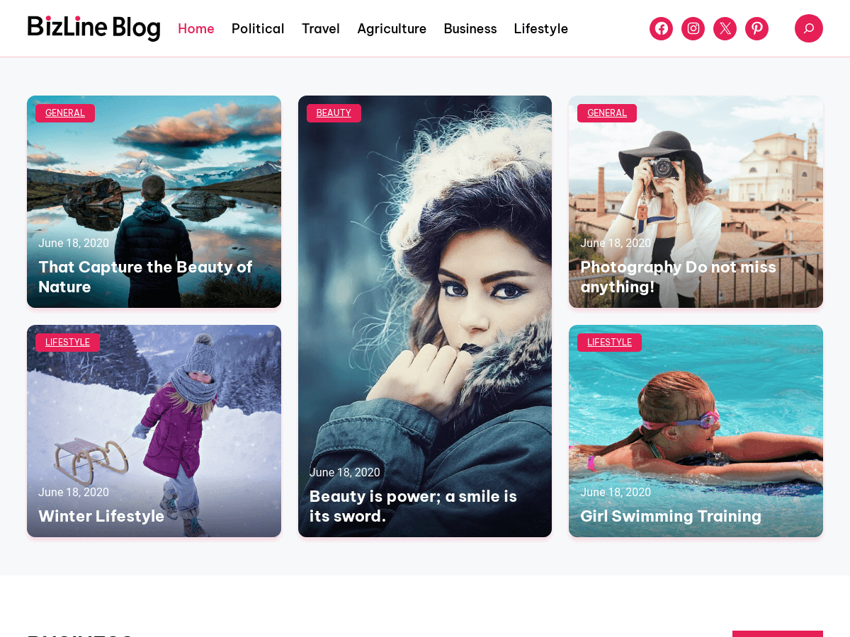 BizLine Blog theme screenshot