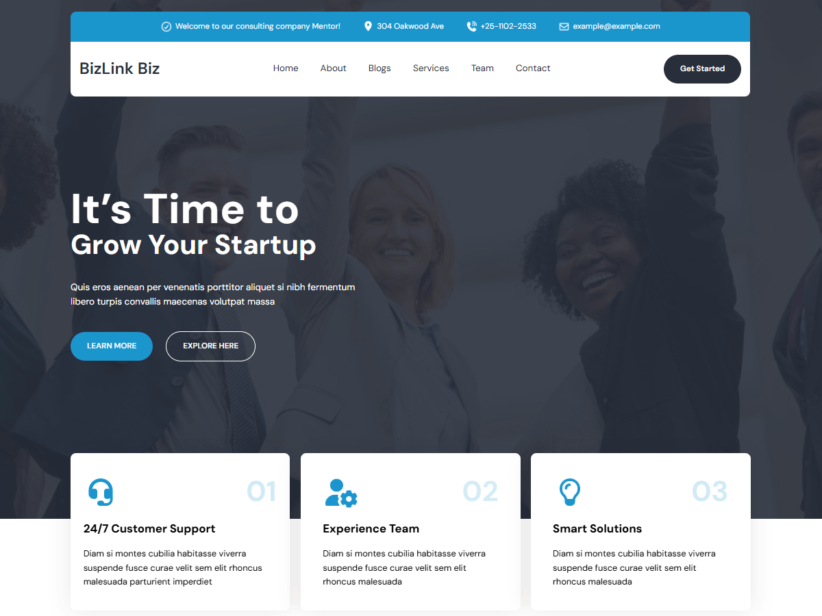 BizLink Biz theme screenshot