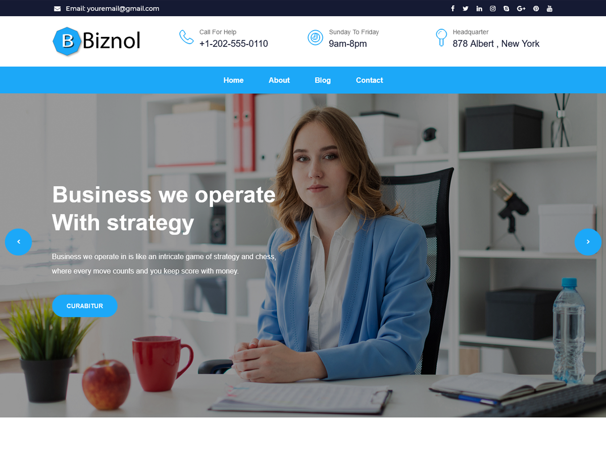 Biznol theme screenshot