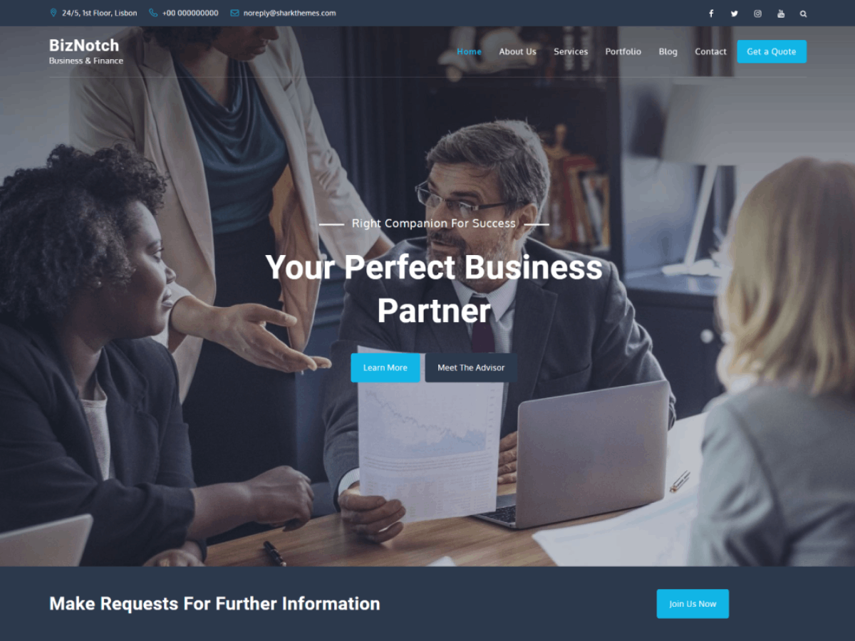 BizNotch theme screenshot