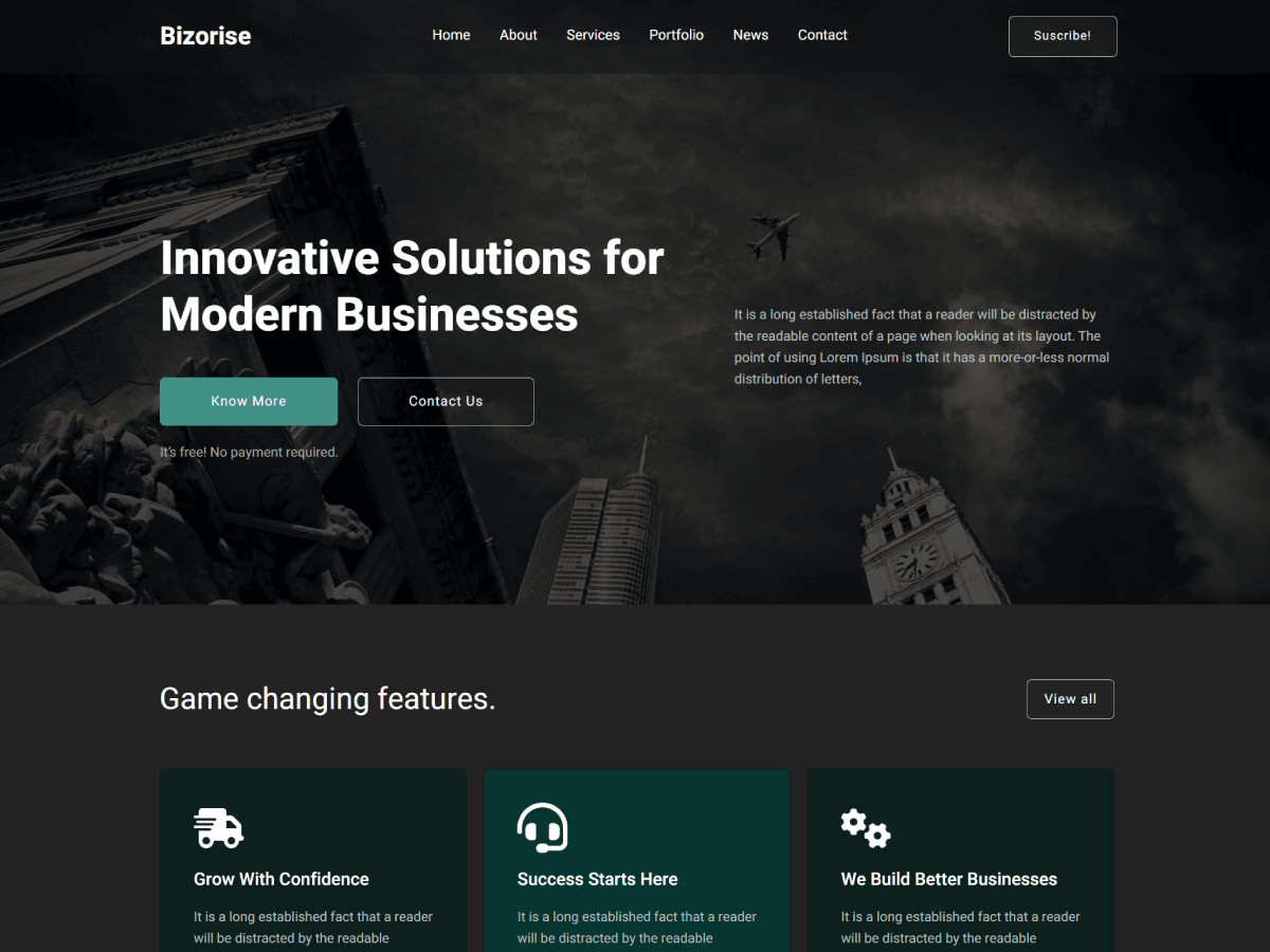 Bizorise theme screenshot