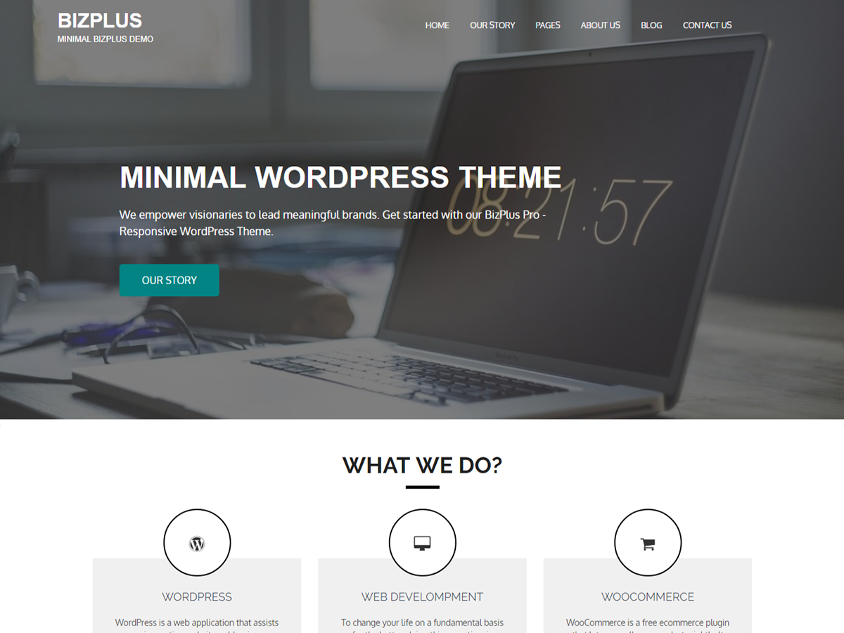BizPlus theme screenshot
