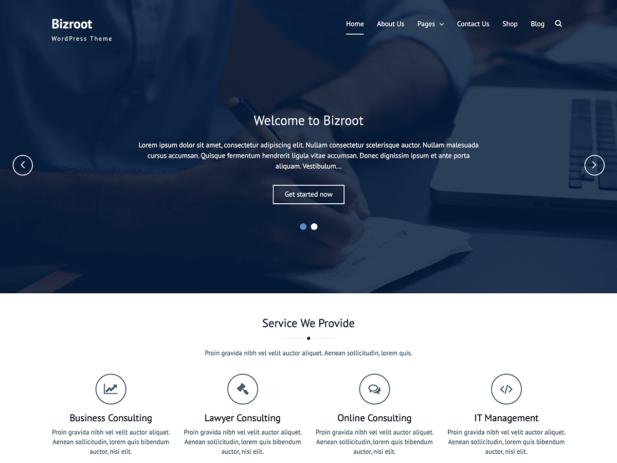 Bizroot theme screenshot