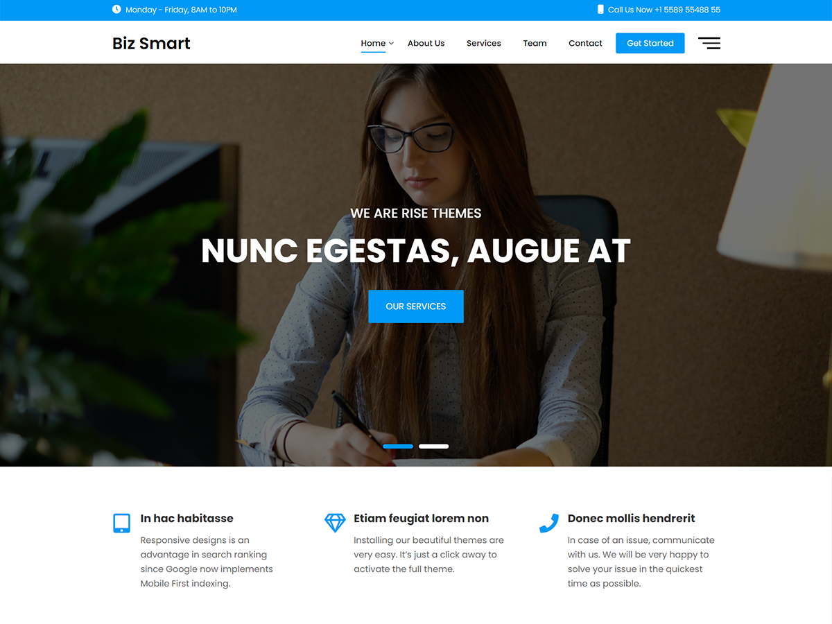 BizSmart theme screenshot