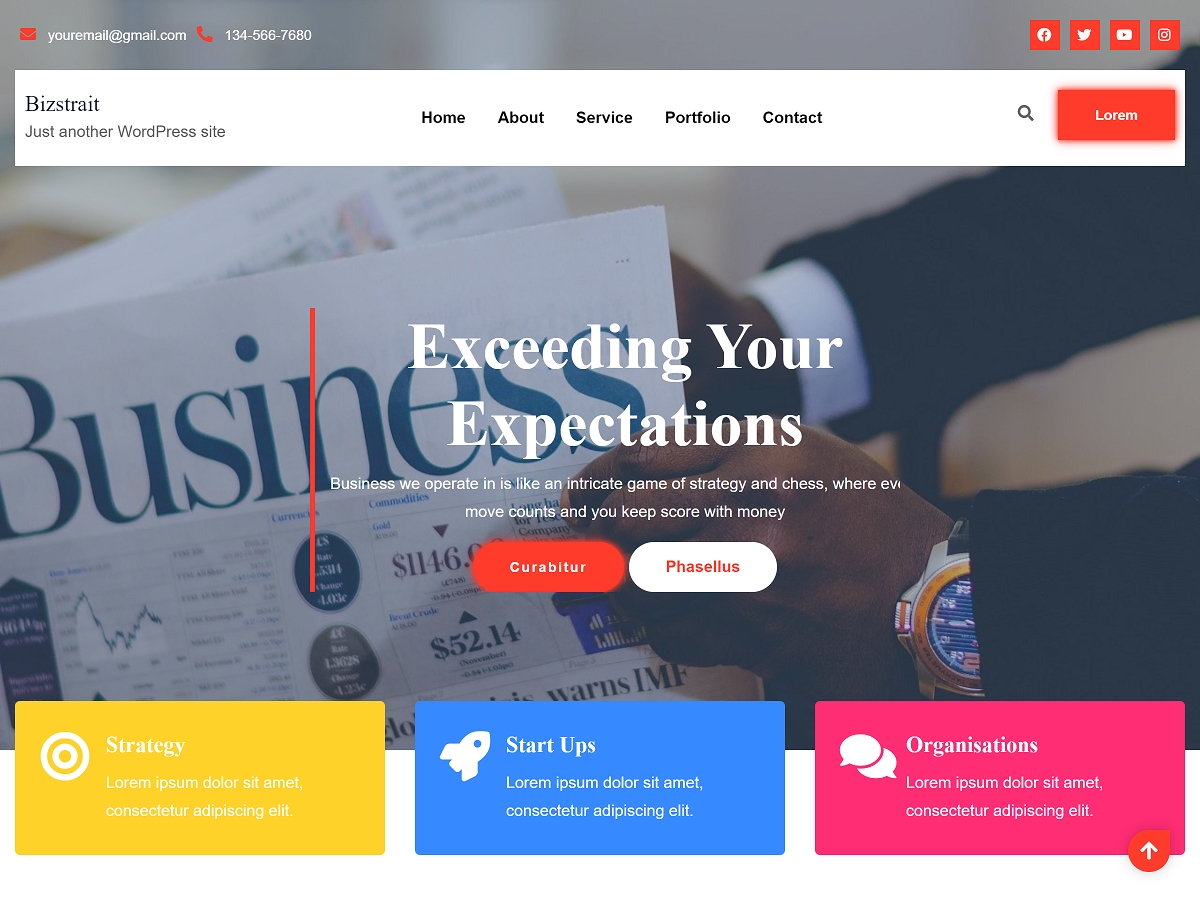Bizstrait theme screenshot