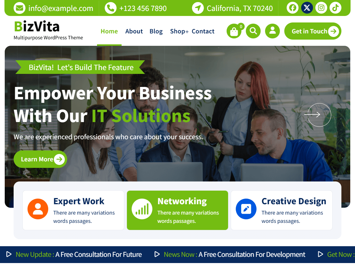 BizVita theme screenshot
