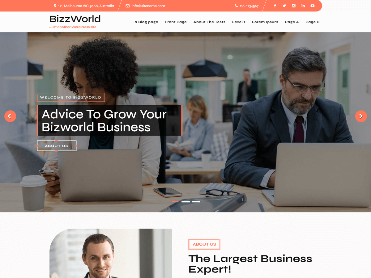 Bizworld Lite theme screenshot