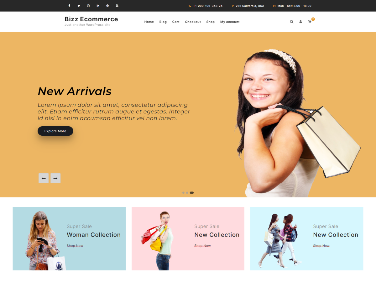 Bizz Ecommerce theme screenshot