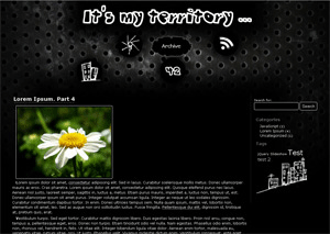 Black Urban theme screenshot