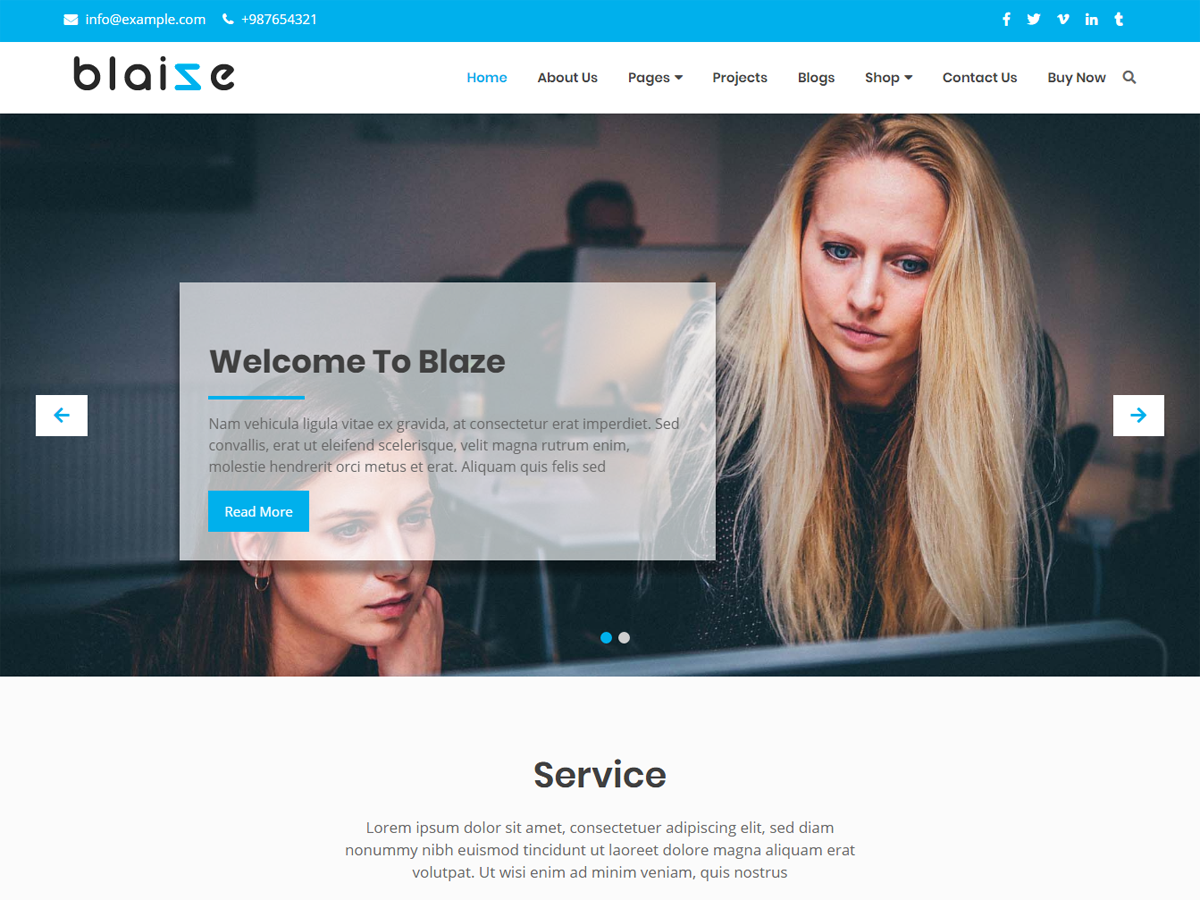 Blaize theme screenshot