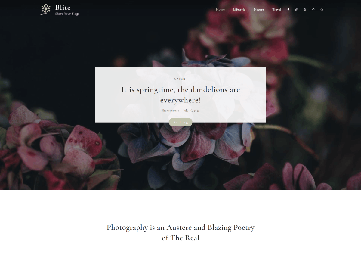 Blite theme screenshot