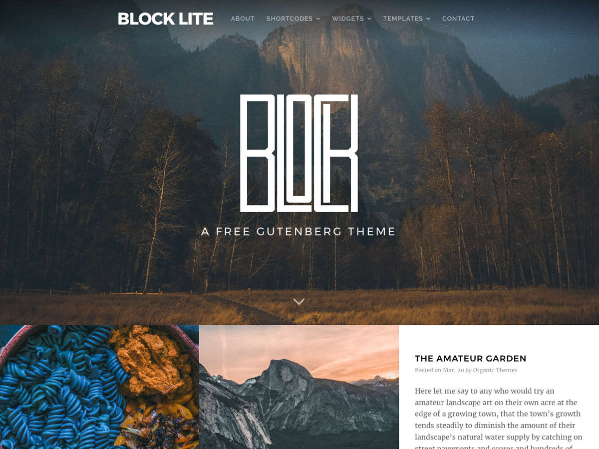 Block Lite theme screenshot