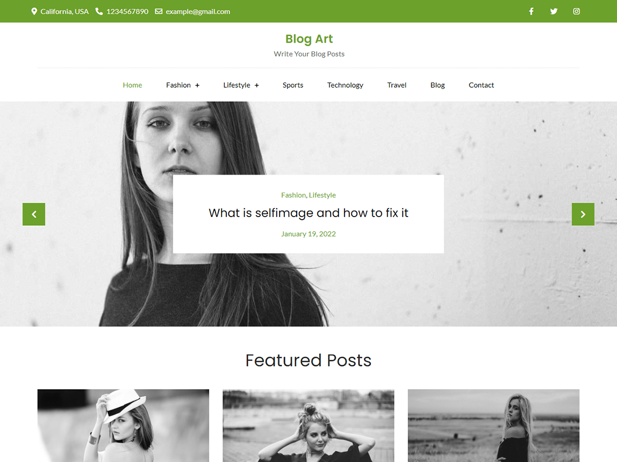 Blog Art theme screenshot