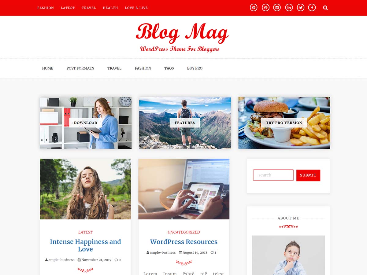 Blog Mag theme screenshot