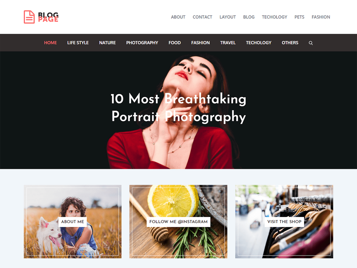 Blog Page theme screenshot