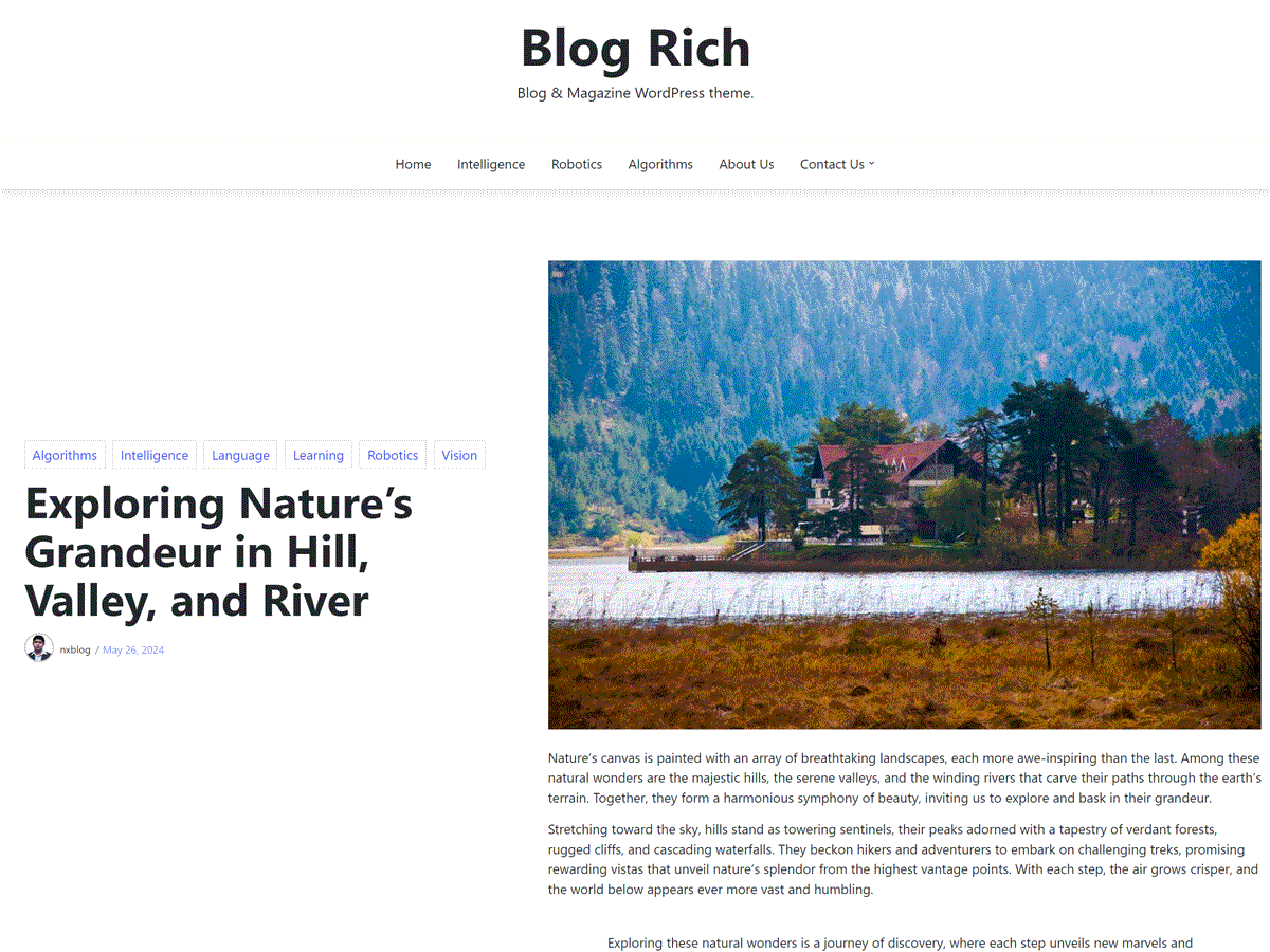 Blog Rich theme screenshot