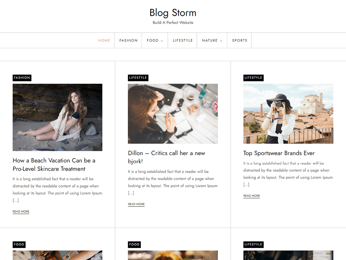 Blog Storm theme screenshot