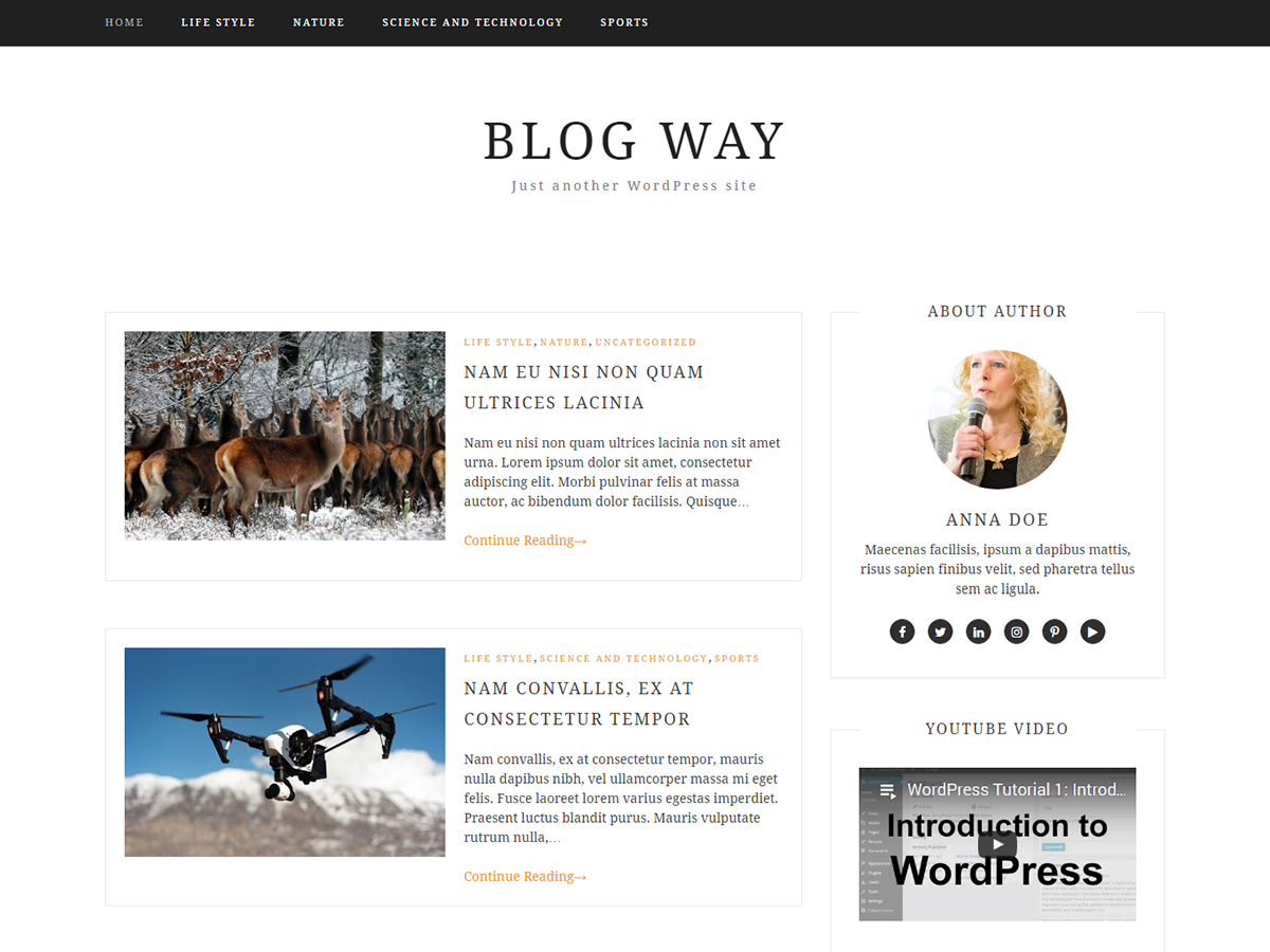 Blog Way theme screenshot