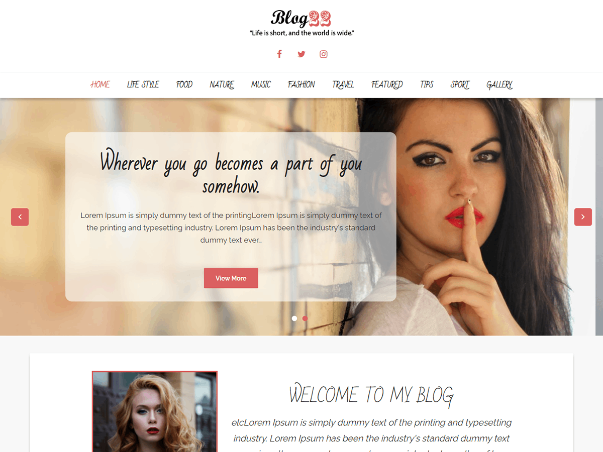 Blog22 theme screenshot