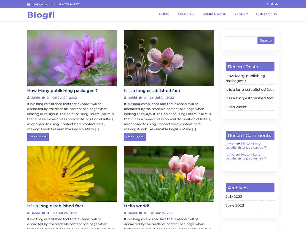 Blogfi theme screenshot