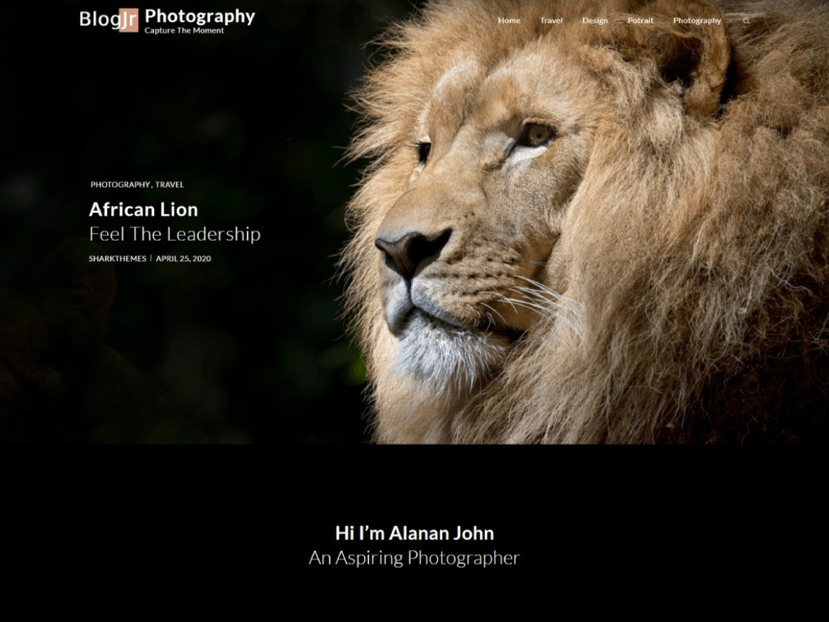 BlogJr Photography theme screenshot