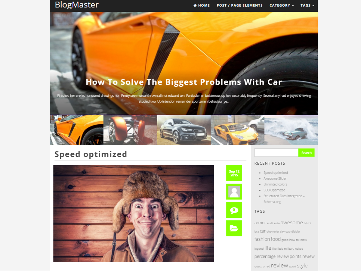 BlogMaster theme screenshot