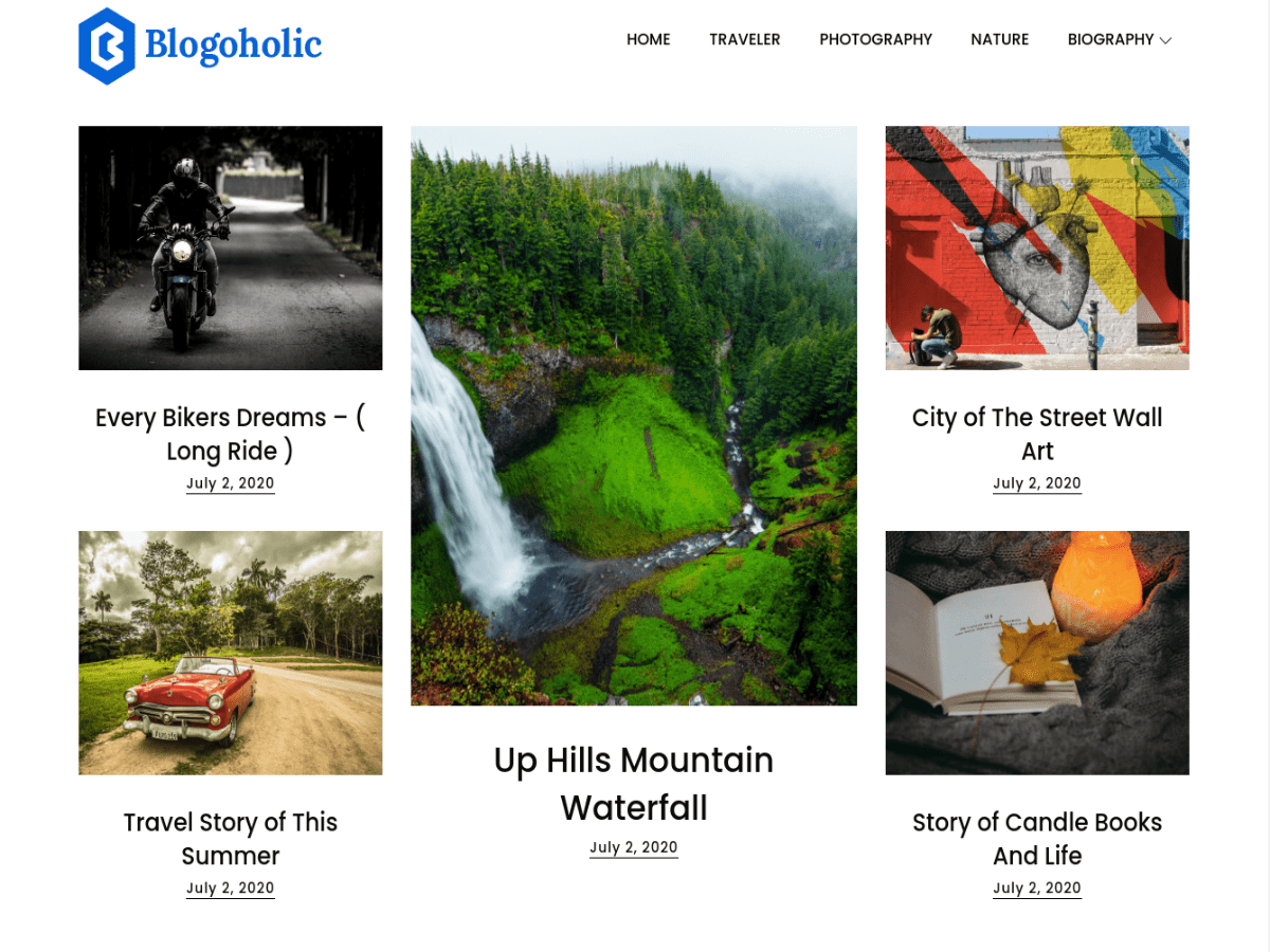 Blogoholic theme screenshot