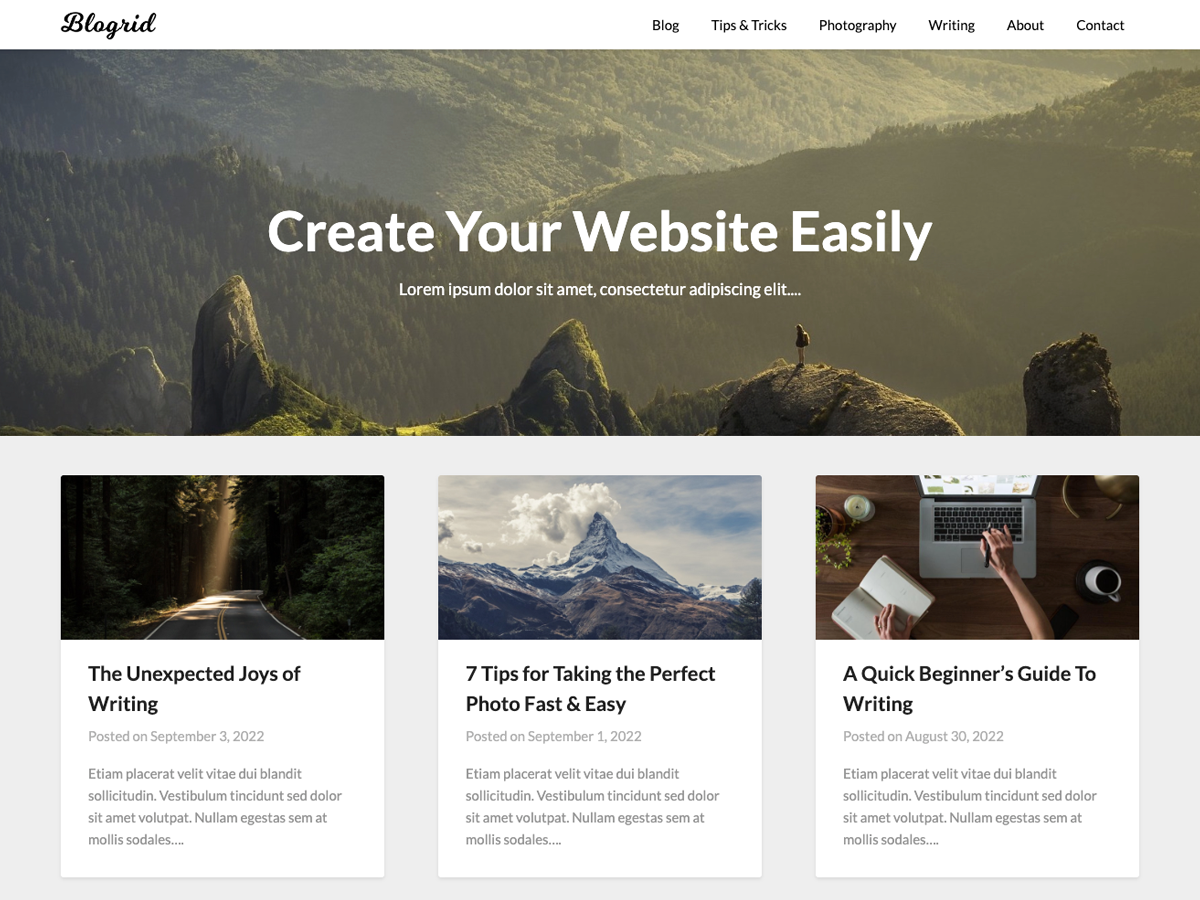 Blogrid theme screenshot