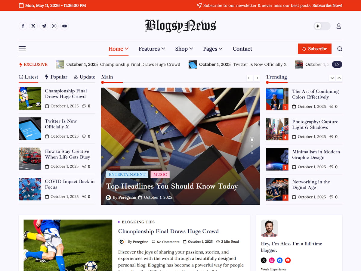 Blogsy News theme screenshot
