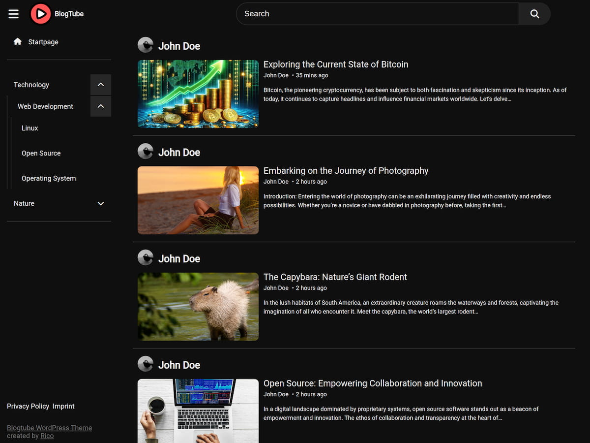 BlogTube theme screenshot