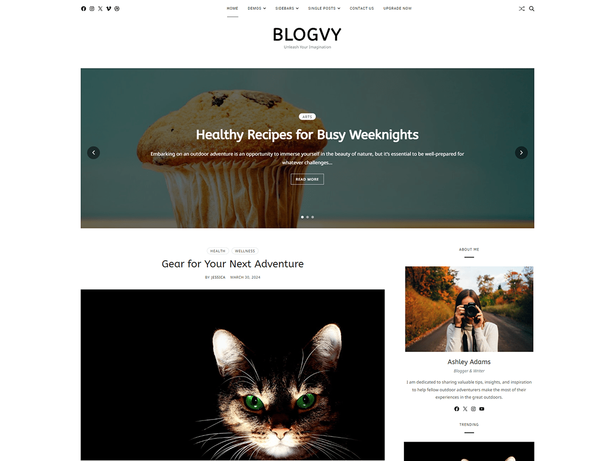 Blogvy theme screenshot