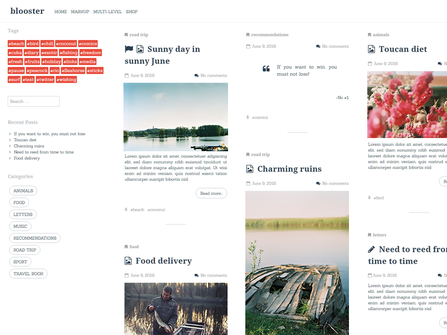 blooster theme screenshot