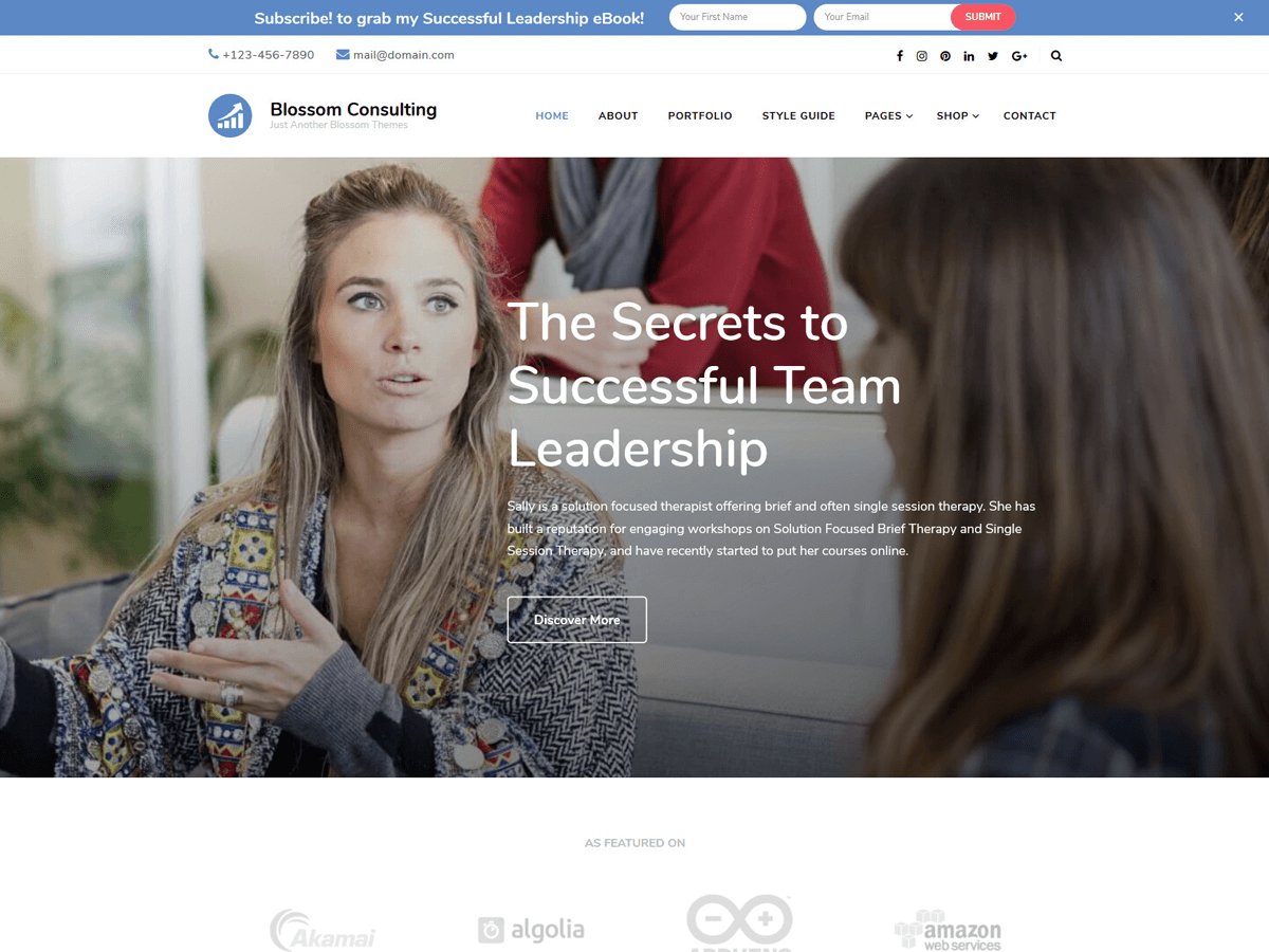 Blossom Consulting theme screenshot
