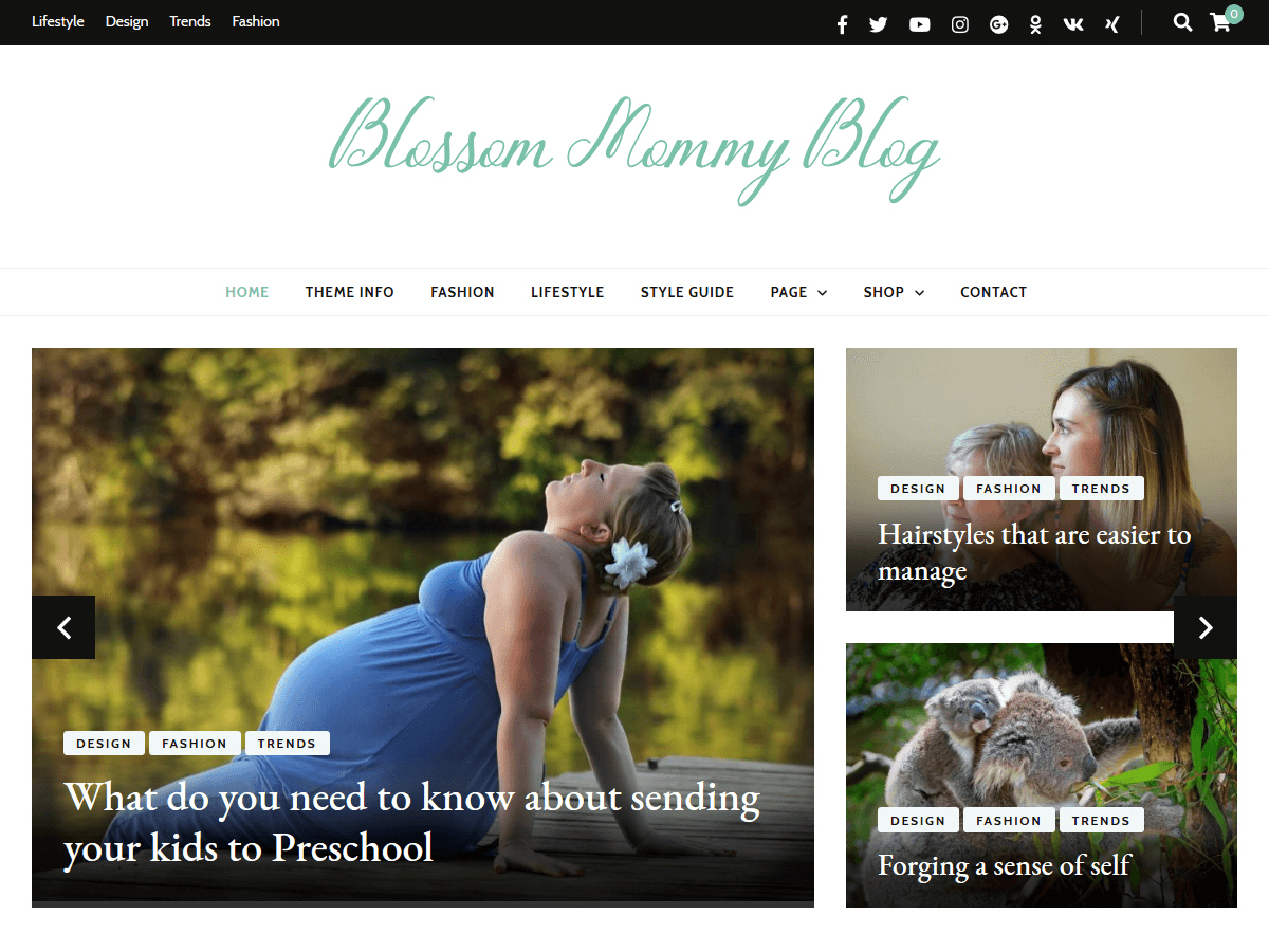 Blossom Mommy Blog theme screenshot