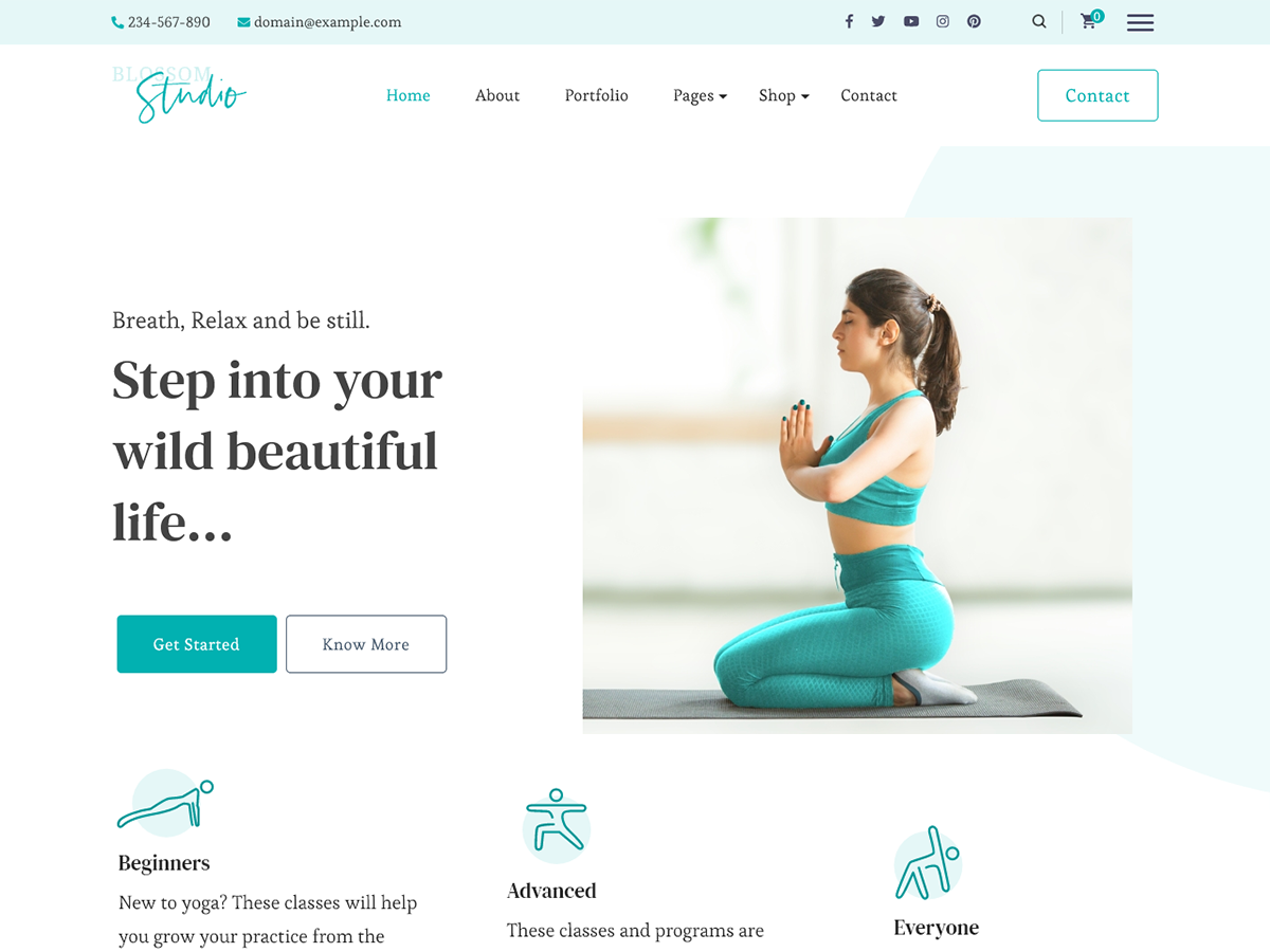 Blossom Studio theme screenshot