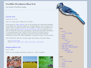 BlueJay theme screenshot