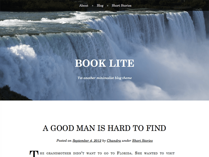 Book Lite theme screenshot