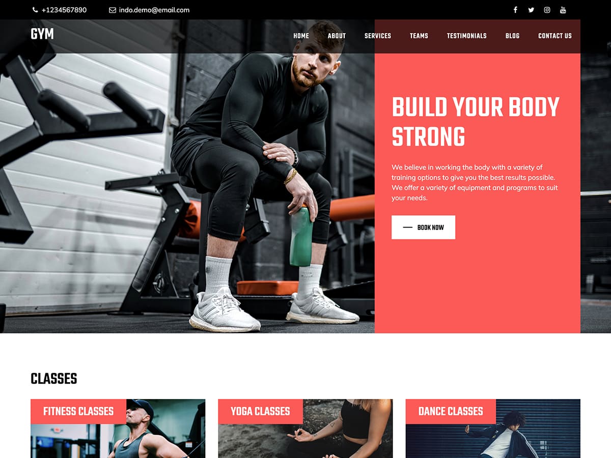 Bootstrap Fitness theme screenshot