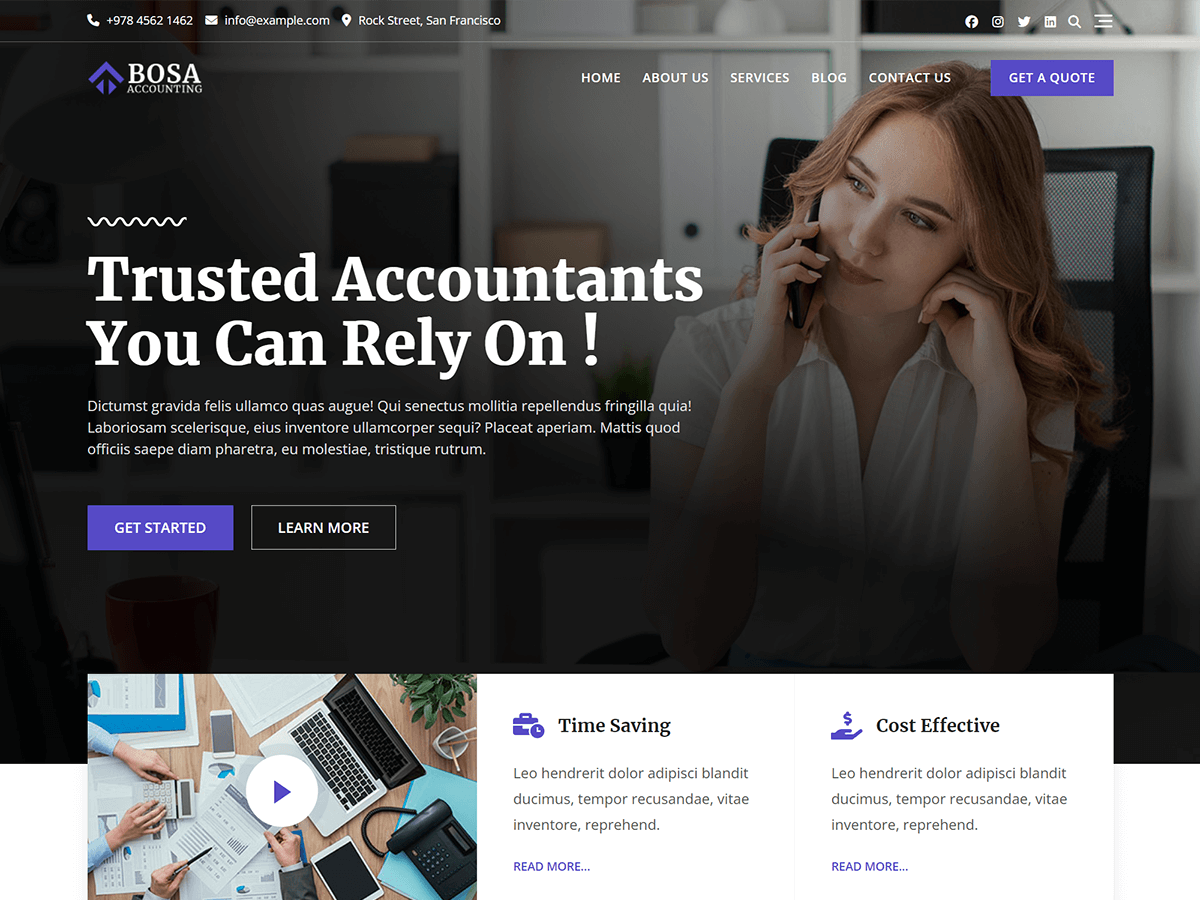 Bosa Accounting theme screenshot