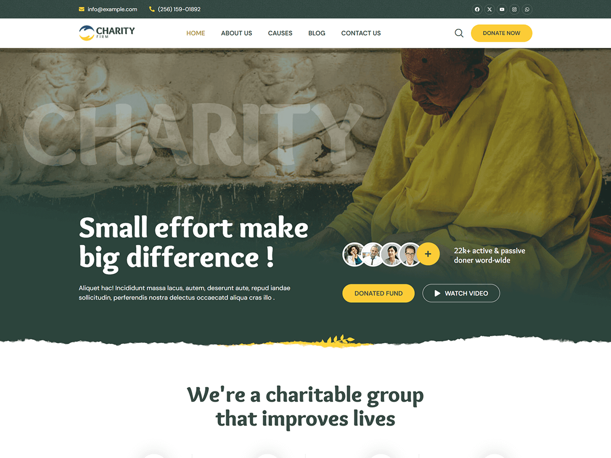 Bosa Charity Firm theme screenshot