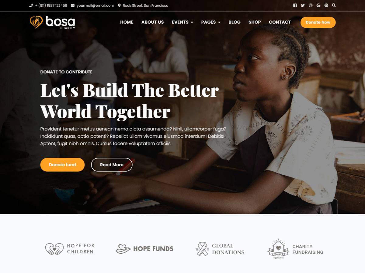 Bosa Charity theme screenshot