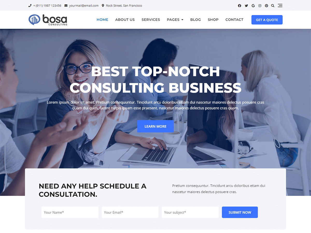 Bosa Consulting theme screenshot