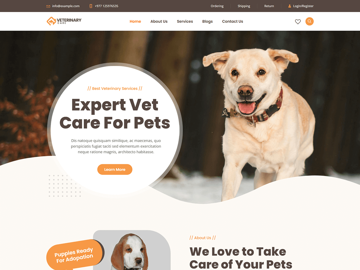 Bosa Veterinary Care theme screenshot