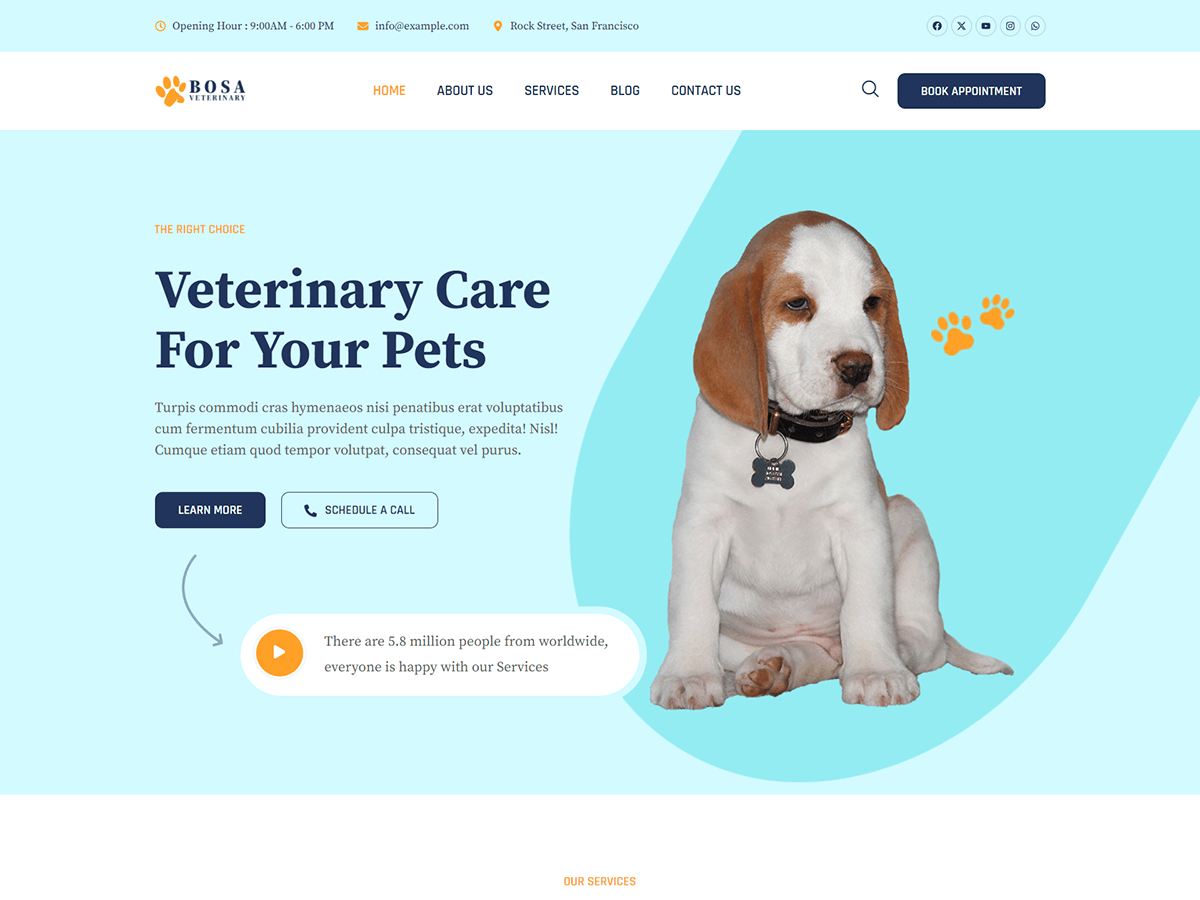 Bosa Veterinary theme screenshot